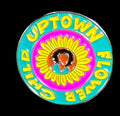 UPTOWN FLOWER CHILD TEAL PIN