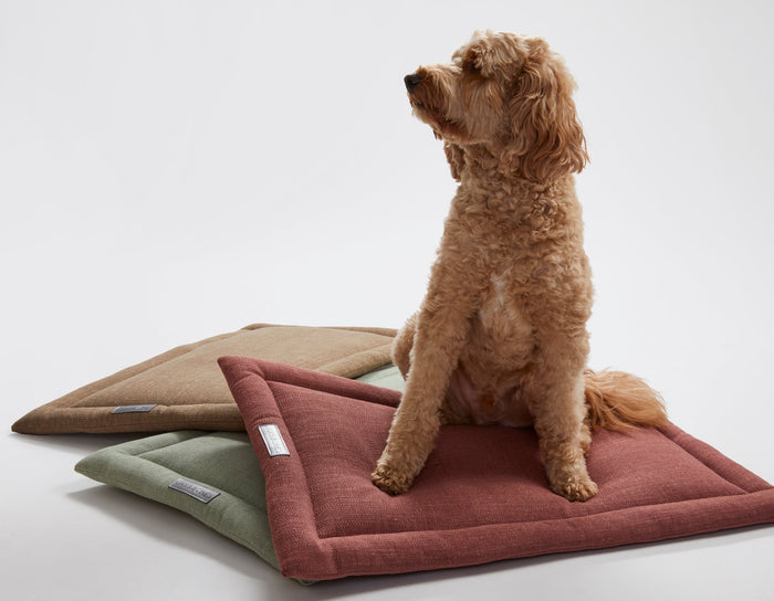 Warby Beige Cozy MatDog BedsFound My AnimalSmall