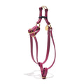 Water Resistant Cat & Dog Harness – Berry | Durable, Adjustable & All-WeatherDog & Cat HarnessesFound My AnimalXS