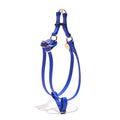 Water Resistant Cat & Dog Harness – Bright Blue| Durable, Adjustable & All-WeatherDog & Cat HarnessesFound My AnimalXS