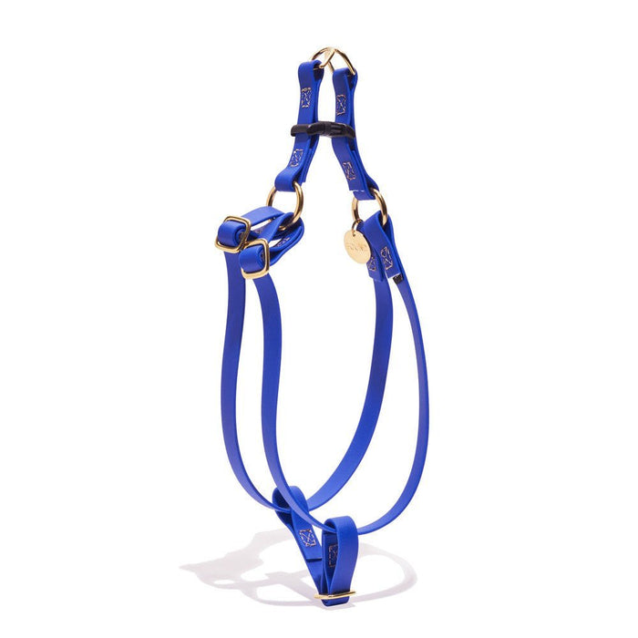 Water Resistant Cat & Dog Harness – Bright Blue| Durable, Adjustable & All-WeatherDog & Cat HarnessesFound My AnimalXS