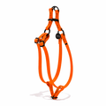 Water Resistant Cat & Dog Harness – Fire Orange with Matte Black Hardware | Durable, Adjustable & All-WeatherDog & Cat HarnessesFound My AnimalXS