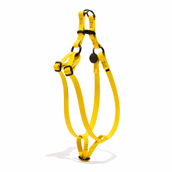 Water Resistant Cat & Dog Harness – Yellow with Matte Black Hardware | Durable, Adjustable & All-WeatherDog & Cat HarnessesFound My AnimalXS