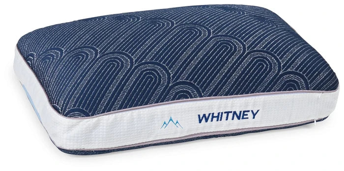 Whitney 14 cm Standard Pillow (4/CS)