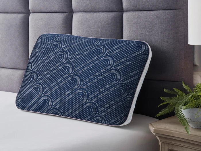 Whitney 14 cm Standard Pillow (4/CS)