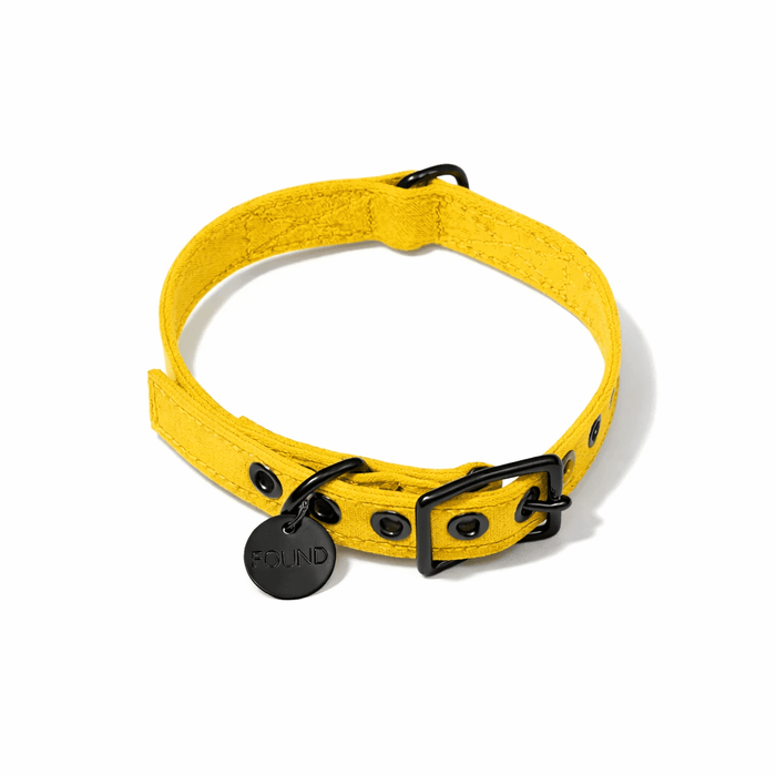 Yellow Waxed Cotton Canvas Cat & Dog Collar – Matte Black HardwareDog CollarsFound My AnimalXS